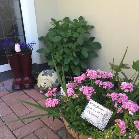 2 Mile Nocleg ze śniadaniem